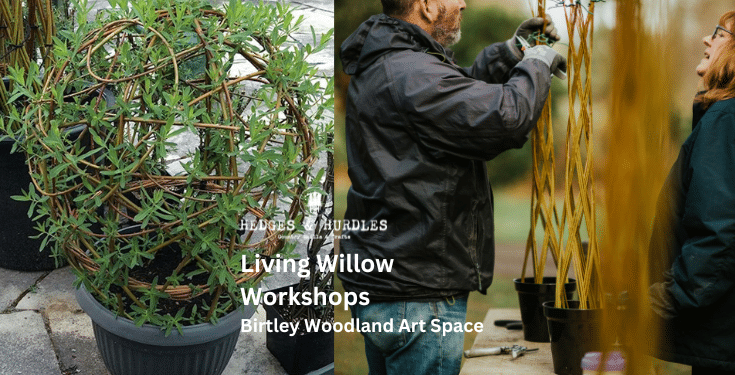 Living Willow Workshops